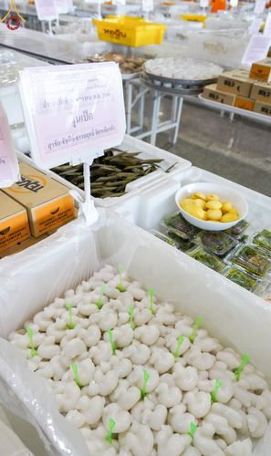 ภาพ No.75182:พิธีถวายภัตตาหารเป็นสังฆทาน แด่คณะพระธรรมยาตราฯ ในโครงการธรรมยาตรากตัญญูบูชา มหาปูชนียาจารย์ พระมงคลเทพมุนี(สด จนฺทสโร) พระผู้ปราบมาร อนุสรณ์สถาน 7 แห่ง ปีที่ 11 วันที่ 31 มกราคม พ.ศ. 2566