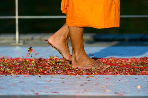 ภาพ No.35639:โครงการธรรมยาตรา เส้นทางพระผู้ปราบมาร ปีที่ 9 ณ วัดพระธรรมกาย 