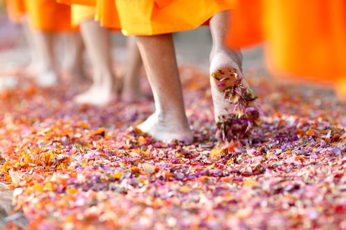 ภาพ No.35673:โครงการธรรมยาตรา เส้นทางพระผู้ปราบมาร ปีที่ 9 ณ วัดพระธรรมกาย 