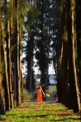 ภาพ No.35697:โครงการธรรมยาตรา เส้นทางพระผู้ปราบมาร ปีที่ 9 ณ วัดพระธรรมกาย 