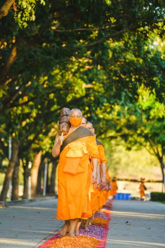 ภาพ No.35591:โครงการธรรมยาตรา เส้นทางพระผู้ปราบมาร ปีที่ 9 ณ วัดพระธรรมกาย 