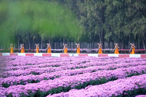 ภาพ No.35883:โครงการธรรมยาตรา เส้นทางพระผู้ปราบมาร ปีที่ 9 ณ วัดพระธรรมกาย