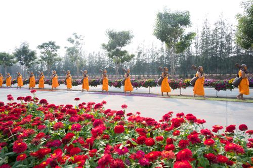 ภาพ No.35802:โครงการธรรมยาตรา เส้นทางพระผู้ปราบมาร ปีที่ 9 ณ วัดพระธรรมกาย