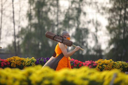 ภาพ No.35817:โครงการธรรมยาตรา เส้นทางพระผู้ปราบมาร ปีที่ 9 ณ วัดพระธรรมกาย