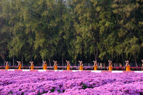 ภาพ No.35825:โครงการธรรมยาตรา เส้นทางพระผู้ปราบมาร ปีที่ 9 ณ วัดพระธรรมกาย