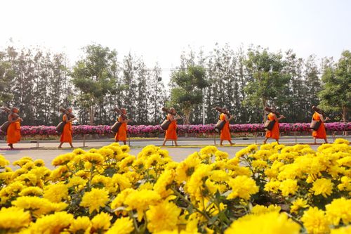 ภาพ No.35829:โครงการธรรมยาตรา เส้นทางพระผู้ปราบมาร ปีที่ 9 ณ วัดพระธรรมกาย