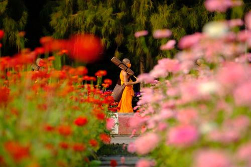 ภาพ No.35821:โครงการธรรมยาตรา เส้นทางพระผู้ปราบมาร ปีที่ 9 ณ วัดพระธรรมกาย