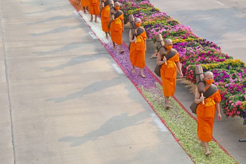 ภาพ No.35809:โครงการธรรมยาตรา เส้นทางพระผู้ปราบมาร ปีที่ 9 ณ วัดพระธรรมกาย