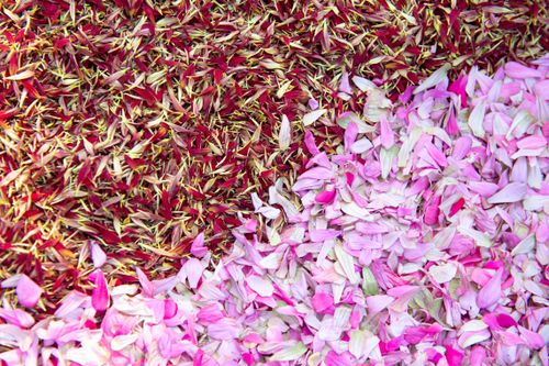 ภาพ No.35881:โครงการธรรมยาตรา เส้นทางพระผู้ปราบมาร ปีที่ 9 ณ วัดพระธรรมกาย