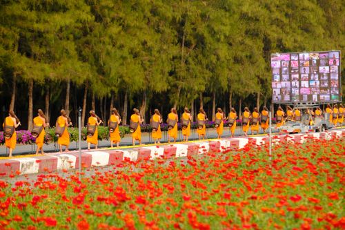 ภาพ No.35820:โครงการธรรมยาตรา เส้นทางพระผู้ปราบมาร ปีที่ 9 ณ วัดพระธรรมกาย