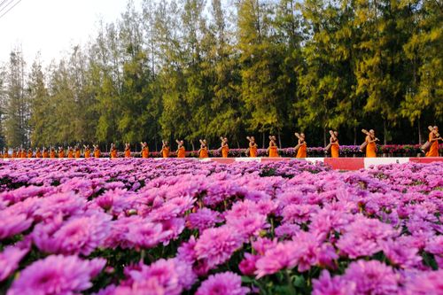 ภาพ No.35823:โครงการธรรมยาตรา เส้นทางพระผู้ปราบมาร ปีที่ 9 ณ วัดพระธรรมกาย