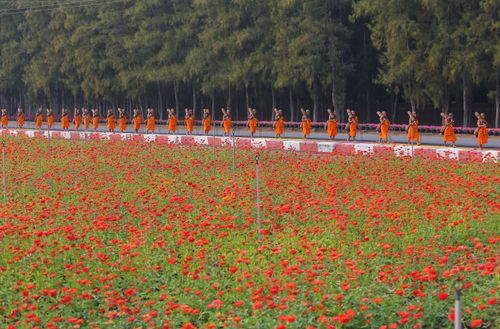 ภาพ No.35717:โครงการธรรมยาตรา เส้นทางพระผู้ปราบมาร ปีที่ 9 ณ วัดพระธรรมกาย