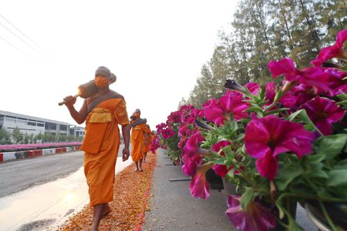ภาพ No.35831:โครงการธรรมยาตรา เส้นทางพระผู้ปราบมาร ปีที่ 9 ณ วัดพระธรรมกาย