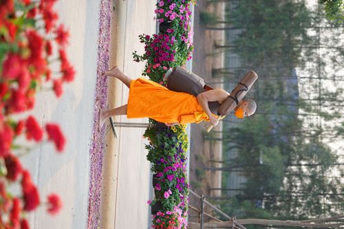 ภาพ No.35874:โครงการธรรมยาตรา เส้นทางพระผู้ปราบมาร ปีที่ 9 ณ วัดพระธรรมกาย