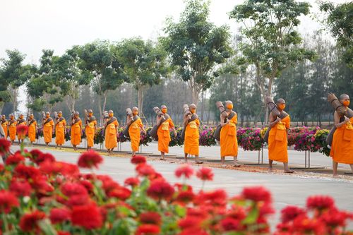 ภาพ No.35877:โครงการธรรมยาตรา เส้นทางพระผู้ปราบมาร ปีที่ 9 ณ วัดพระธรรมกาย