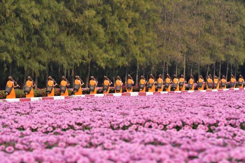 ภาพ No.35813:โครงการธรรมยาตรา เส้นทางพระผู้ปราบมาร ปีที่ 9 ณ วัดพระธรรมกาย