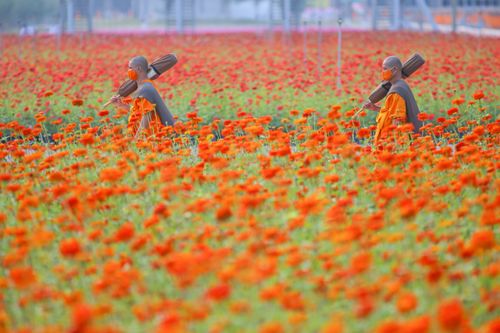 ภาพ No.35719:โครงการธรรมยาตรา เส้นทางพระผู้ปราบมาร ปีที่ 9 ณ วัดพระธรรมกาย