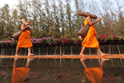 ภาพ No.35832:โครงการธรรมยาตรา เส้นทางพระผู้ปราบมาร ปีที่ 9 ณ วัดพระธรรมกาย