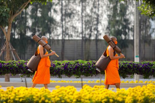 ภาพ No.35841:โครงการธรรมยาตรา เส้นทางพระผู้ปราบมาร ปีที่ 9 ณ วัดพระธรรมกาย