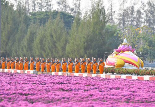 ภาพ No.35746:โครงการธรรมยาตรา เส้นทางพระผู้ปราบมาร ปีที่ 9 ณ วัดพระธรรมกาย