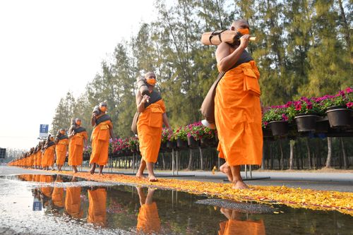 ภาพ No.35815:โครงการธรรมยาตรา เส้นทางพระผู้ปราบมาร ปีที่ 9 ณ วัดพระธรรมกาย