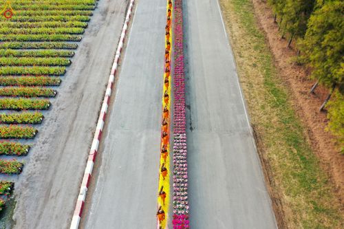 ภาพ No.35774:โครงการธรรมยาตรา เส้นทางพระผู้ปราบมาร ปีที่ 9 ณ วัดพระธรรมกาย