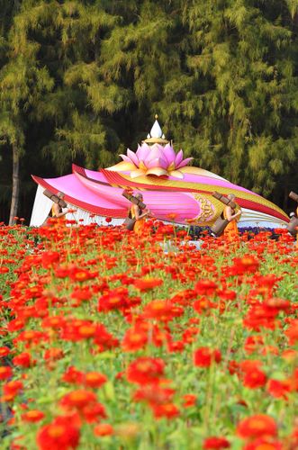 ภาพ No.35748:โครงการธรรมยาตรา เส้นทางพระผู้ปราบมาร ปีที่ 9 ณ วัดพระธรรมกาย