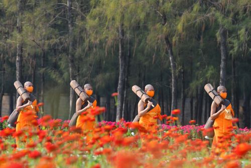 ภาพ No.35747:โครงการธรรมยาตรา เส้นทางพระผู้ปราบมาร ปีที่ 9 ณ วัดพระธรรมกาย