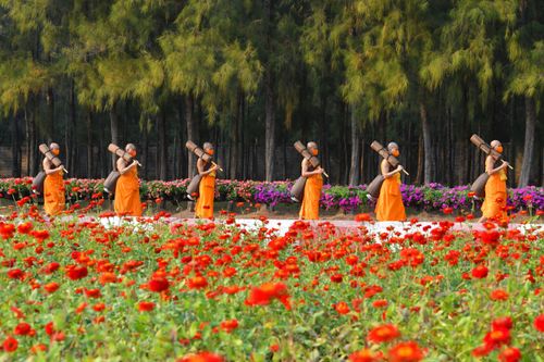 ภาพ No.35749:โครงการธรรมยาตรา เส้นทางพระผู้ปราบมาร ปีที่ 9 ณ วัดพระธรรมกาย