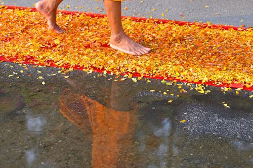 ภาพ No.35753:โครงการธรรมยาตรา เส้นทางพระผู้ปราบมาร ปีที่ 9 ณ วัดพระธรรมกาย