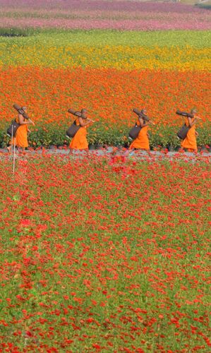 ภาพ No.35754:โครงการธรรมยาตรา เส้นทางพระผู้ปราบมาร ปีที่ 9 ณ วัดพระธรรมกาย