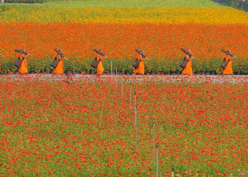 ภาพ No.35756:โครงการธรรมยาตรา เส้นทางพระผู้ปราบมาร ปีที่ 9 ณ วัดพระธรรมกาย