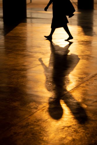 ภาพ No.35891:โครงการธรรมยาตรา เส้นทางพระผู้ปราบมาร ปีที่ 9 ณ วัดพระธรรมกาย