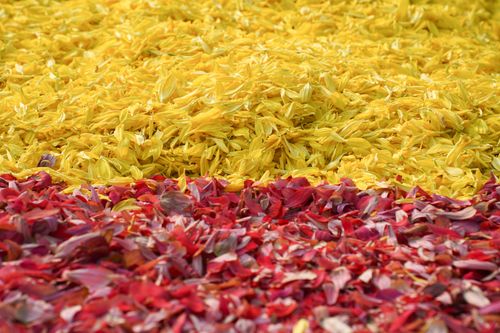 ภาพ No.35781:โครงการธรรมยาตรา เส้นทางพระผู้ปราบมาร ปีที่ 9 ณ วัดพระธรรมกาย