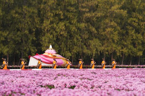 ภาพ No.35782:โครงการธรรมยาตรา เส้นทางพระผู้ปราบมาร ปีที่ 9 ณ วัดพระธรรมกาย