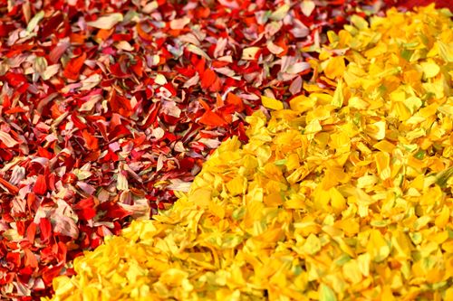 ภาพ No.36064:โครงการธรรมยาตรา เส้นทางพระผู้ปราบมาร ปีที่ 9 ณ วัดพระธรรมกาย