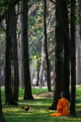 ภาพ No.36116:โครงการธรรมยาตรา เส้นทางพระผู้ปราบมาร ปีที่ 9 ณ วัดพระธรรมกาย
