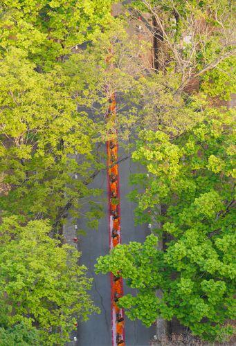 ภาพ No.36199:โครงการธรรมยาตรา เส้นทางพระผู้ปราบมาร ปีที่ 9 ณ วัดพระธรรมกาย