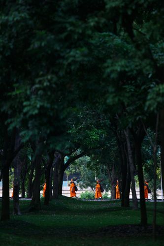 ภาพ No.36145:โครงการธรรมยาตรา เส้นทางพระผู้ปราบมาร ปีที่ 9 ณ วัดพระธรรมกาย