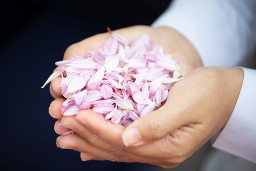 ภาพ No.36011:โครงการธรรมยาตรา เส้นทางพระผู้ปราบมาร ปีที่ 9 ณ วัดพระธรรมกาย