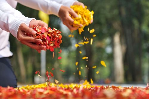 ภาพ No.35995:โครงการธรรมยาตรา เส้นทางพระผู้ปราบมาร ปีที่ 9 ณ วัดพระธรรมกาย