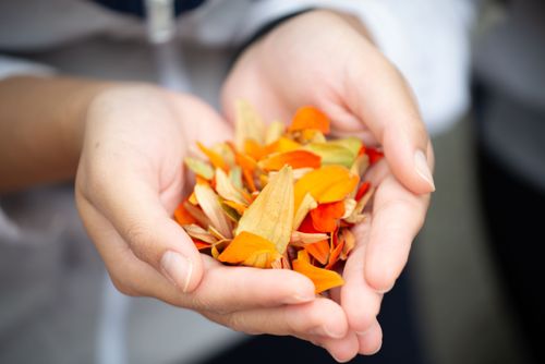 ภาพ No.36012:โครงการธรรมยาตรา เส้นทางพระผู้ปราบมาร ปีที่ 9 ณ วัดพระธรรมกาย