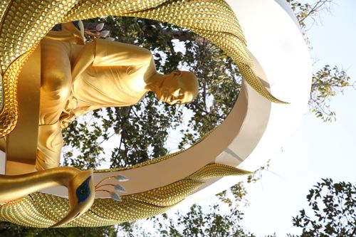 ภาพ No.36088:โครงการธรรมยาตรา เส้นทางพระผู้ปราบมาร ปีที่ 9 ณ วัดพระธรรมกาย