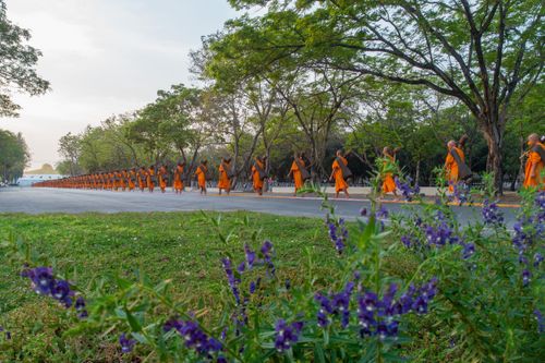 ภาพ No.35958:โครงการธรรมยาตรา เส้นทางพระผู้ปราบมาร ปีที่ 9 ณ วัดพระธรรมกาย