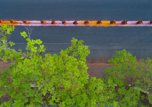 ภาพ No.35956:โครงการธรรมยาตรา เส้นทางพระผู้ปราบมาร ปีที่ 9 ณ วัดพระธรรมกาย