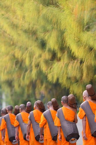 ภาพ No.36132:โครงการธรรมยาตรา เส้นทางพระผู้ปราบมาร ปีที่ 9 ณ วัดพระธรรมกาย