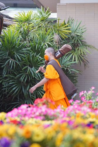 ภาพ No.36183:โครงการธรรมยาตรา เส้นทางพระผู้ปราบมาร ปีที่ 9 ณ วัดพระธรรมกาย