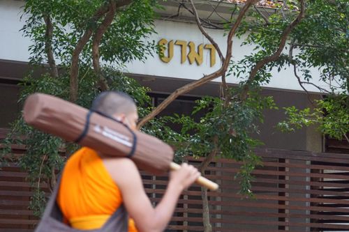 ภาพ No.36185:โครงการธรรมยาตรา เส้นทางพระผู้ปราบมาร ปีที่ 9 ณ วัดพระธรรมกาย