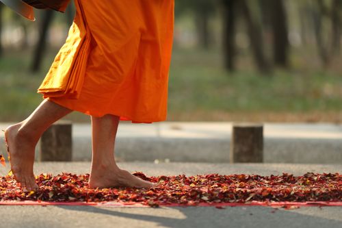 ภาพ No.36101:โครงการธรรมยาตรา เส้นทางพระผู้ปราบมาร ปีที่ 9 ณ วัดพระธรรมกาย