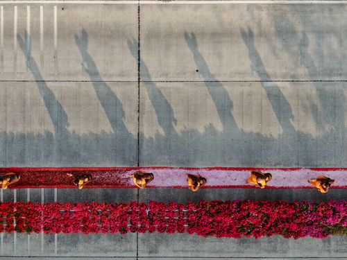 ภาพ No.36225:โครงการธรรมยาตรา เส้นทางพระผู้ปราบมาร ปีที่ 9 ณ วัดพระธรรมกาย